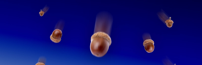 This is an image