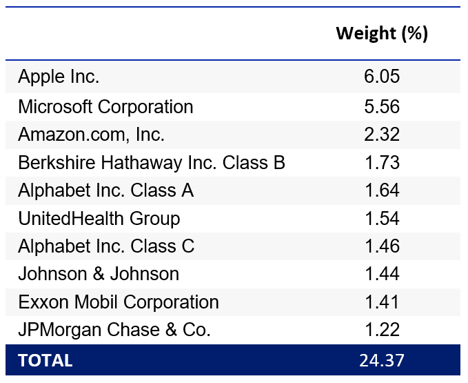 holdings-S_P.webp