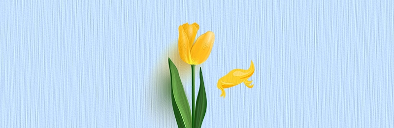This is an image