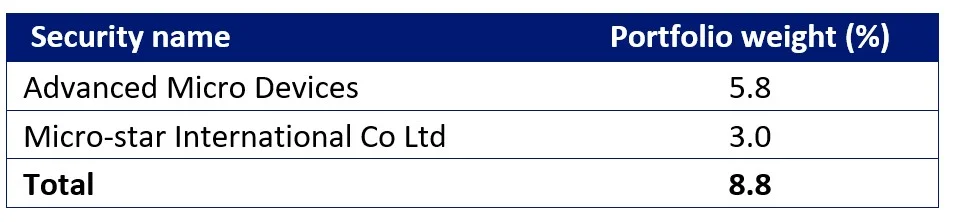 Chipmaker names that are directly exposed to the AI theme.