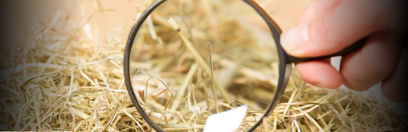 This is an image