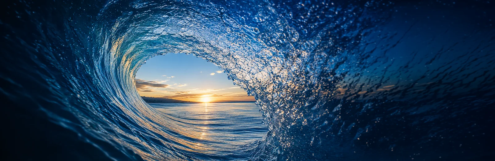 This is an image