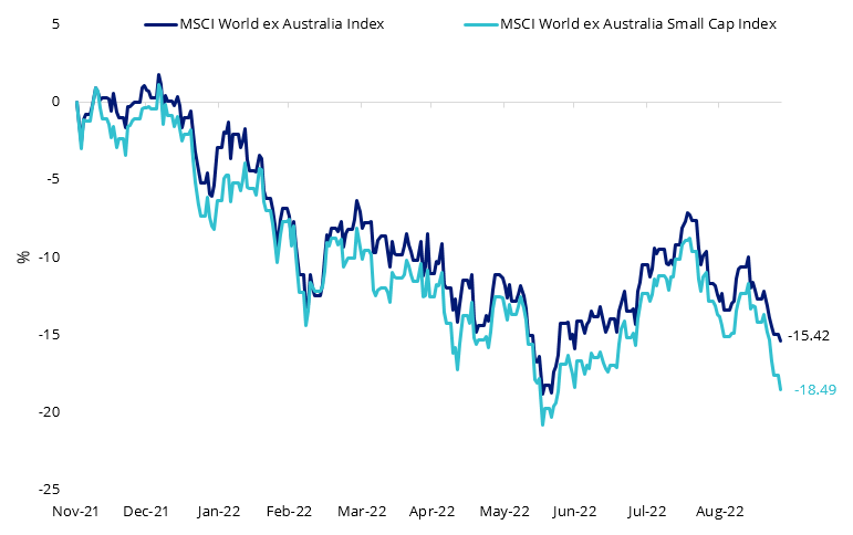 qsml large vs small cap.png