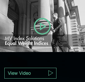 MV Index Solutions Equal Weight Indices